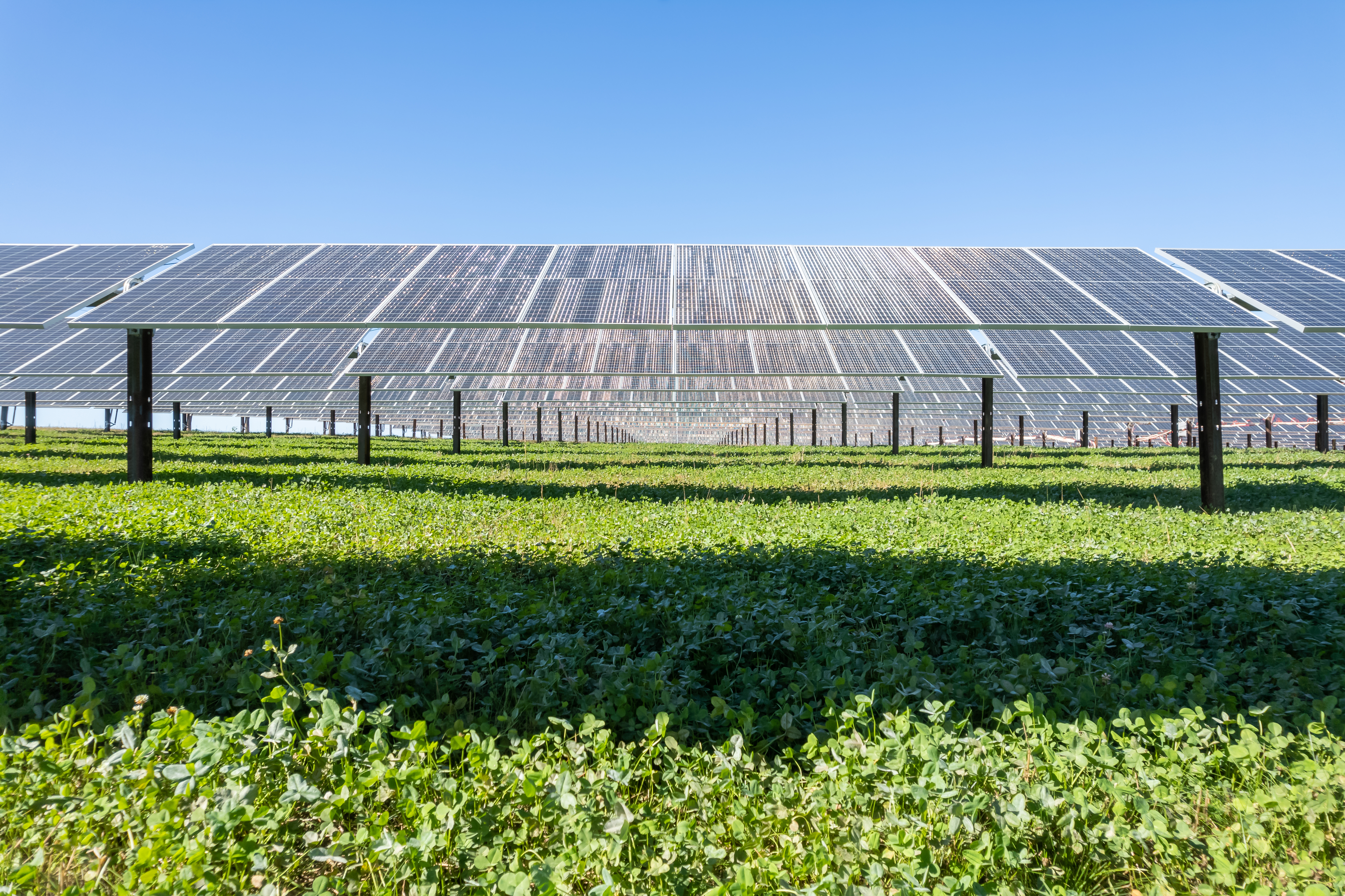 Crossvine Solar Project | AES